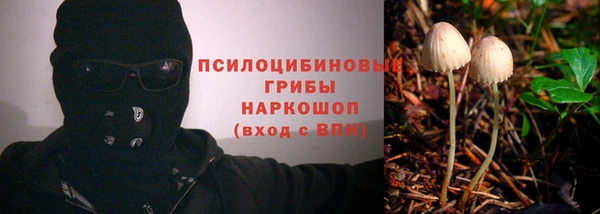 трава Верея