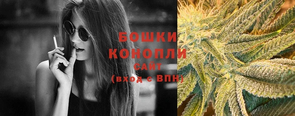 бошки Горнозаводск