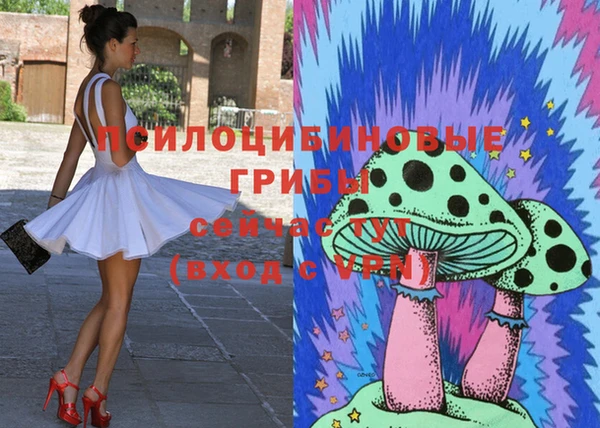 бошки Горнозаводск