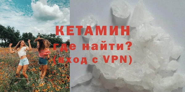 прущие крисы Горняк