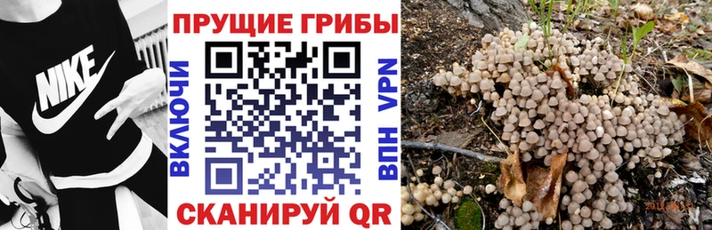 Галлюциногенные грибы GOLDEN TEACHER  Игра 