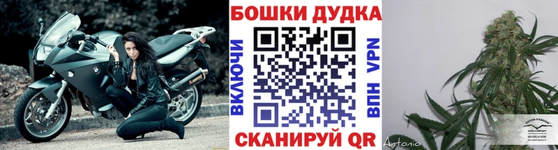 Бошки Шишки тримм  Игра 